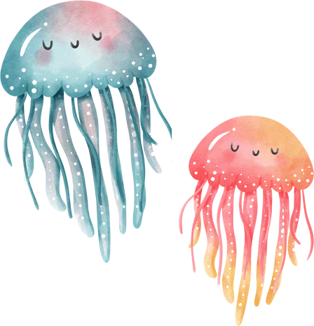 jellyfish